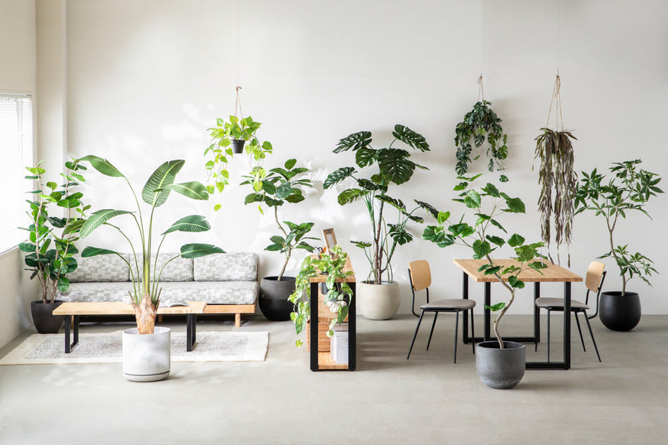 フェイクグリーンで手軽にお部屋をアップデート – KANADEMONO