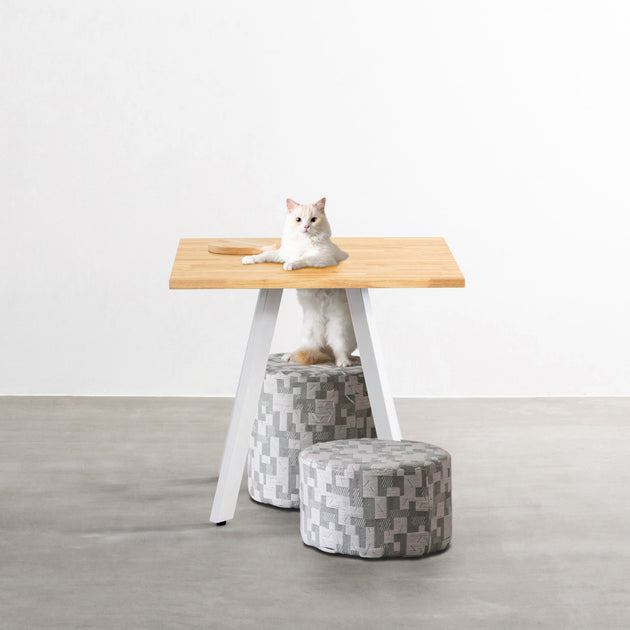 THE CAFE TABLE / ラバーウッド White Steel 4pin × スクエア 60 - 80