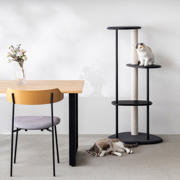 【美品】karimoku 猫脚 サイドテーブル カリモク 猫脚 サイドテーブル karimoku 【美品】 - メルカリ