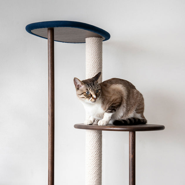 KARIMOKU CAT TREE キャットタワー カリモク SLC-143-BR_250402-