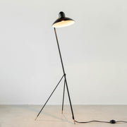 Black - brass　Modern Floor Lamp