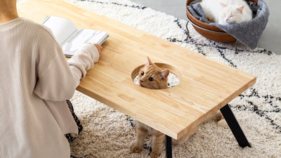 天板厚み変更と価格改定のお知らせ – KANADEMONO