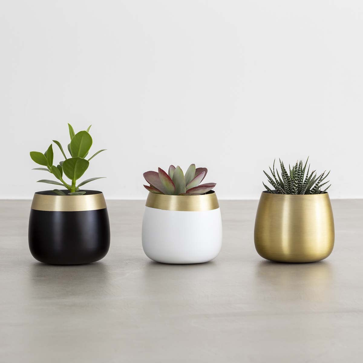 「暮らし」×「植物」 Plant Pot