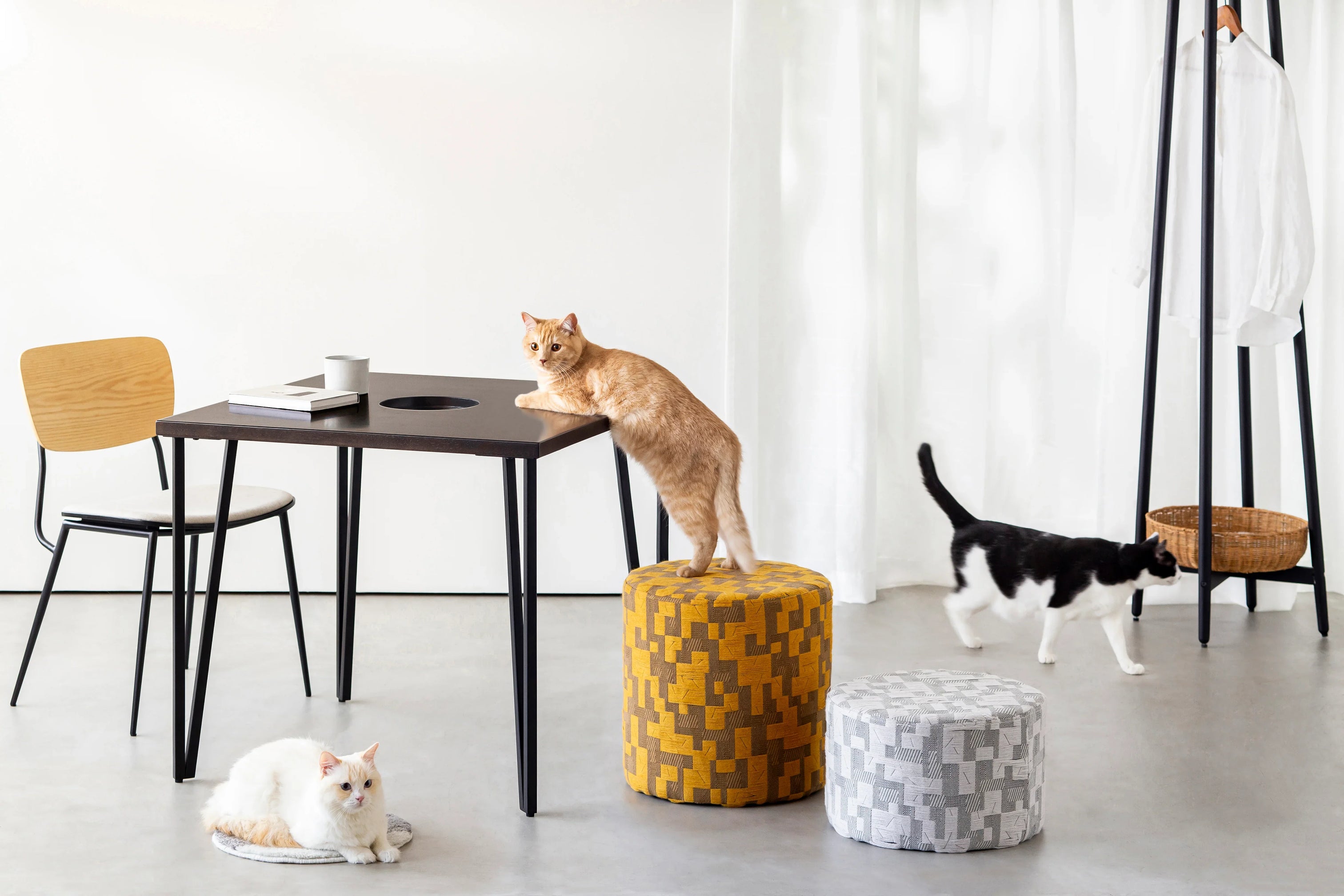 その他 ペット用品 – KANADEMONO