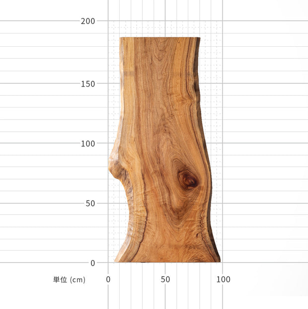 クスの一枚板（サイズ）