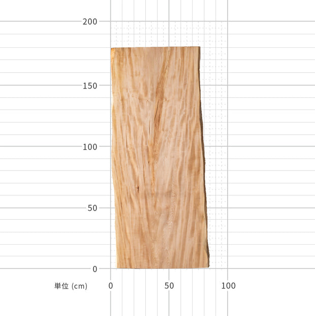トチの一枚板（サイズ）