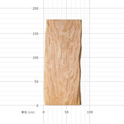 トチの一枚板（サイズ）