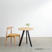 THE LEGS / 3 Pin タイプ × White Steel / 3本セット