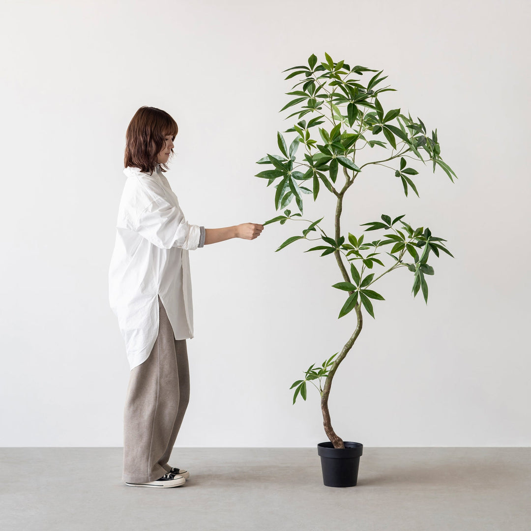 BTT-104-L_250415_03_53608fc0-