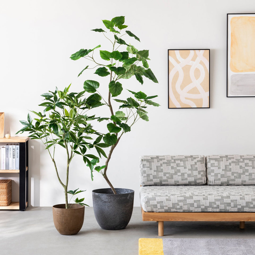 Artificial - Green フェイクグリーン ウンベラータ – KANADEMONO