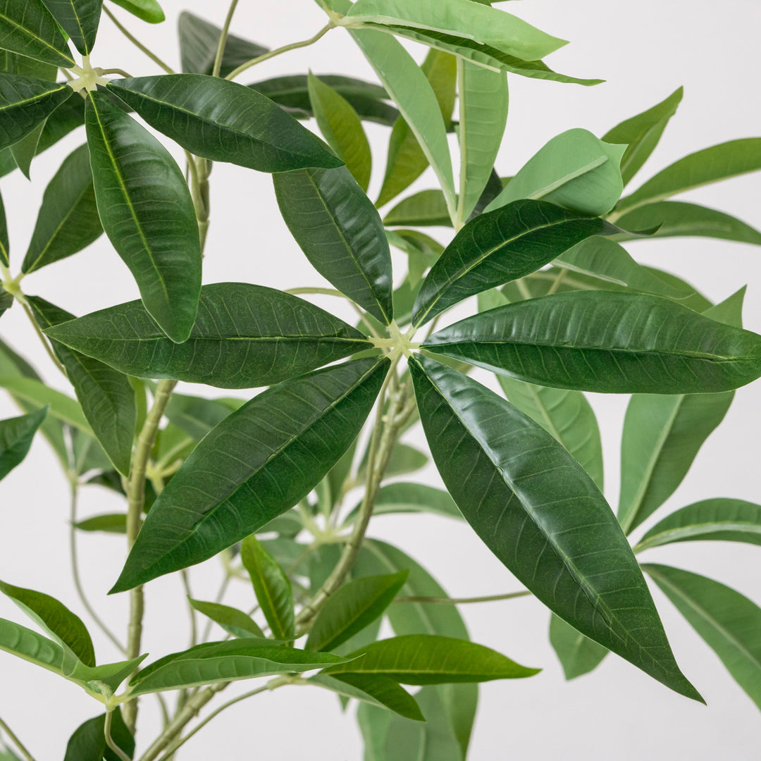 Artificial - Green フェイクグリーン パキラ – KANADEMONO