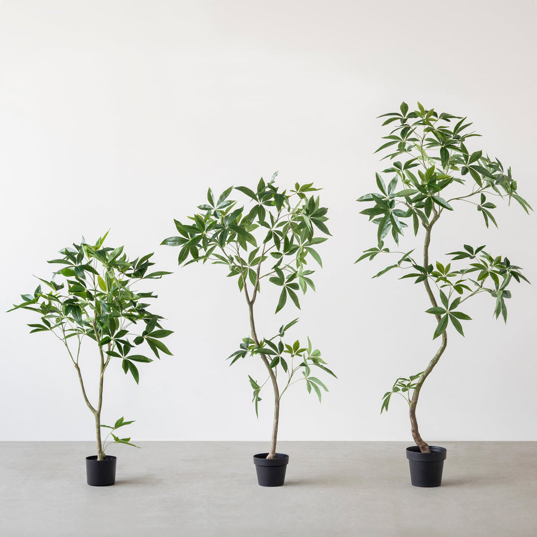 Artificial - Green フェイクグリーン パキラ – KANADEMONO Artificial - Green フェイクグリーン パキラ – KANADEMONO