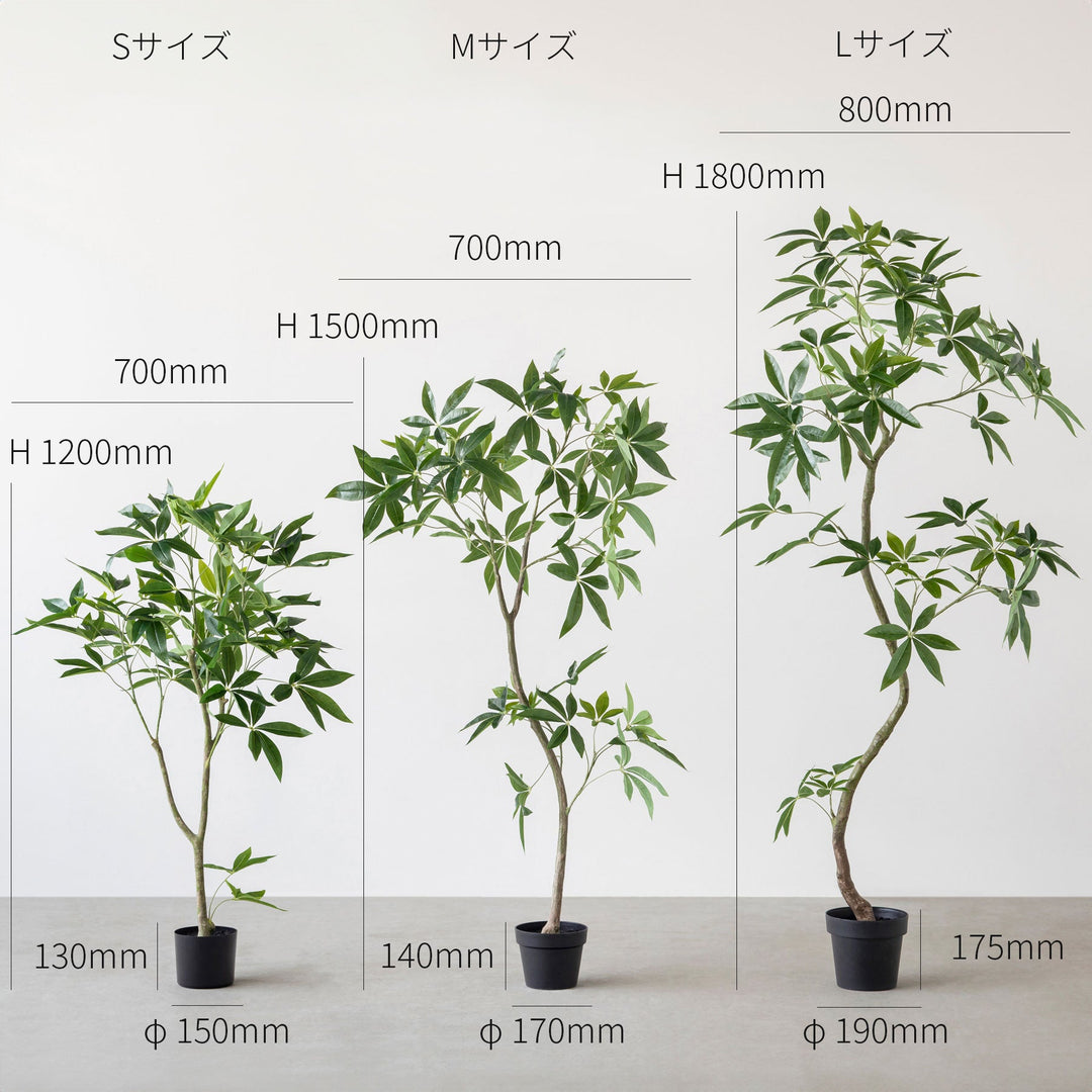 Artificial - Green フェイクグリーン パキラ – KANADEMONO