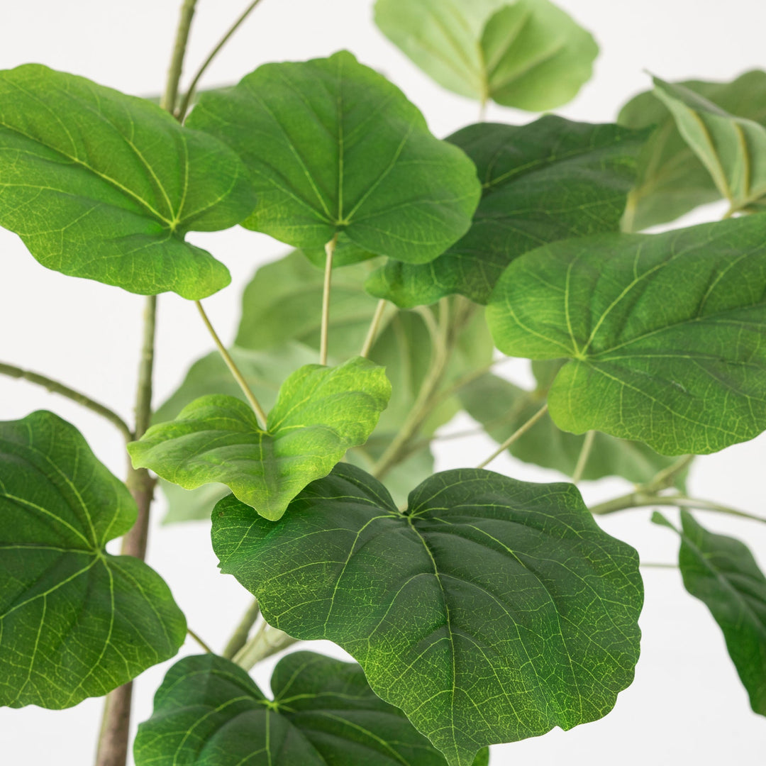 Artificial - Green フェイクグリーン ウンベラータ – KANADEMONO