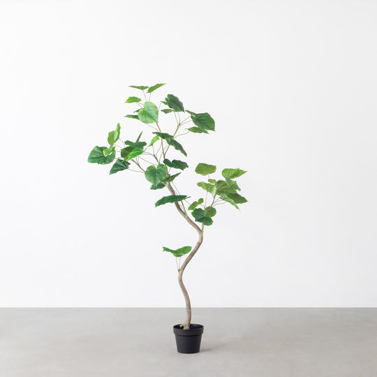 Artificial - Green　フェイクグリーン ウンベラータ