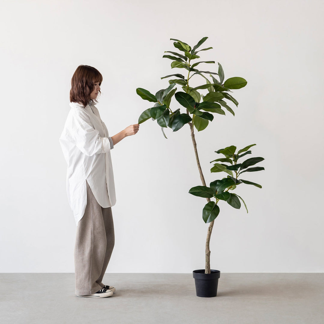 Artificial - Green フェイクグリーン ゴムノキ – KANADEMONO