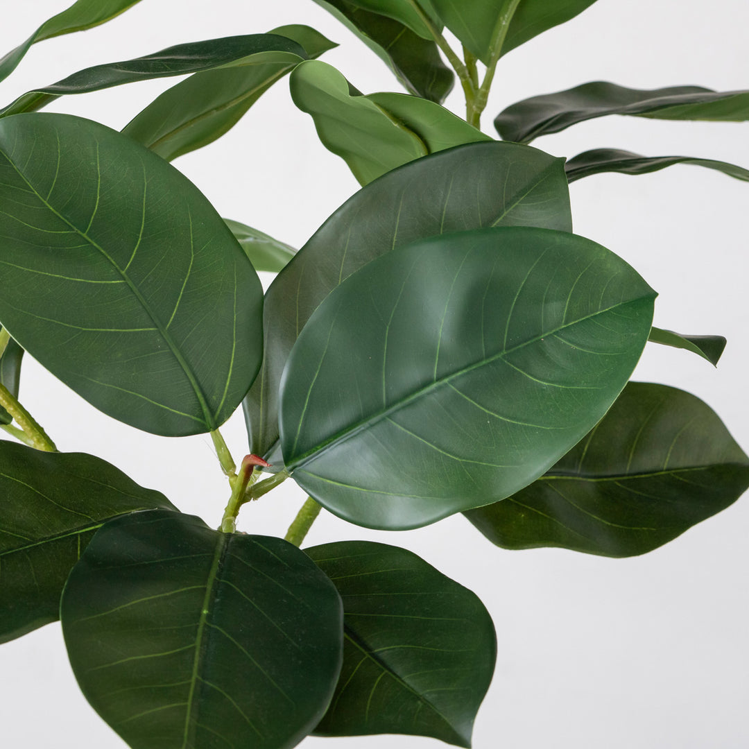 Artificial - Green フェイクグリーン ゴムノキ – KANADEMONO