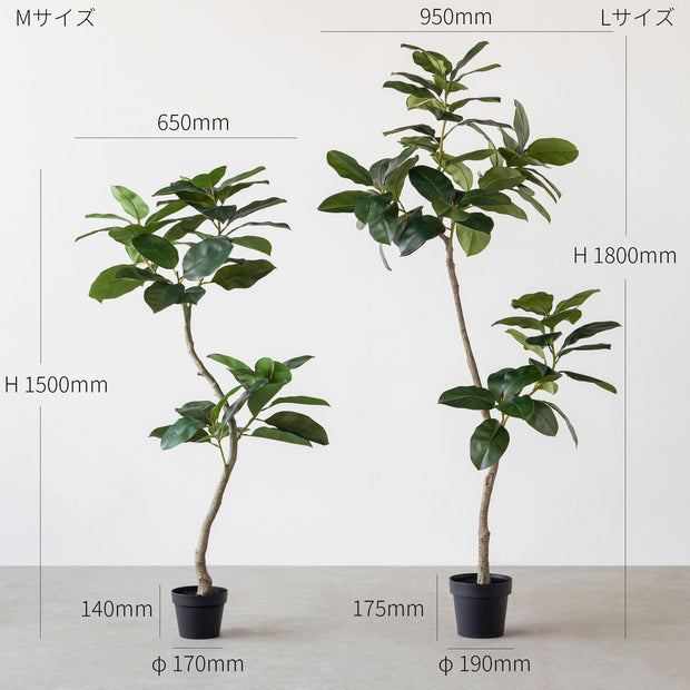 フェイクグリーンの大鉢ゴムノキ（サイズ画像）