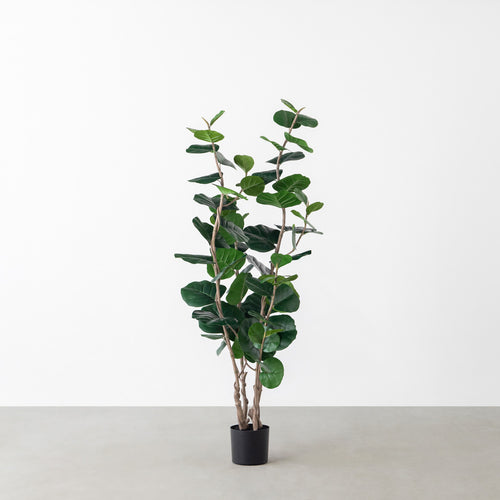 BTT-107_241105-6_01_500x.jpg?v