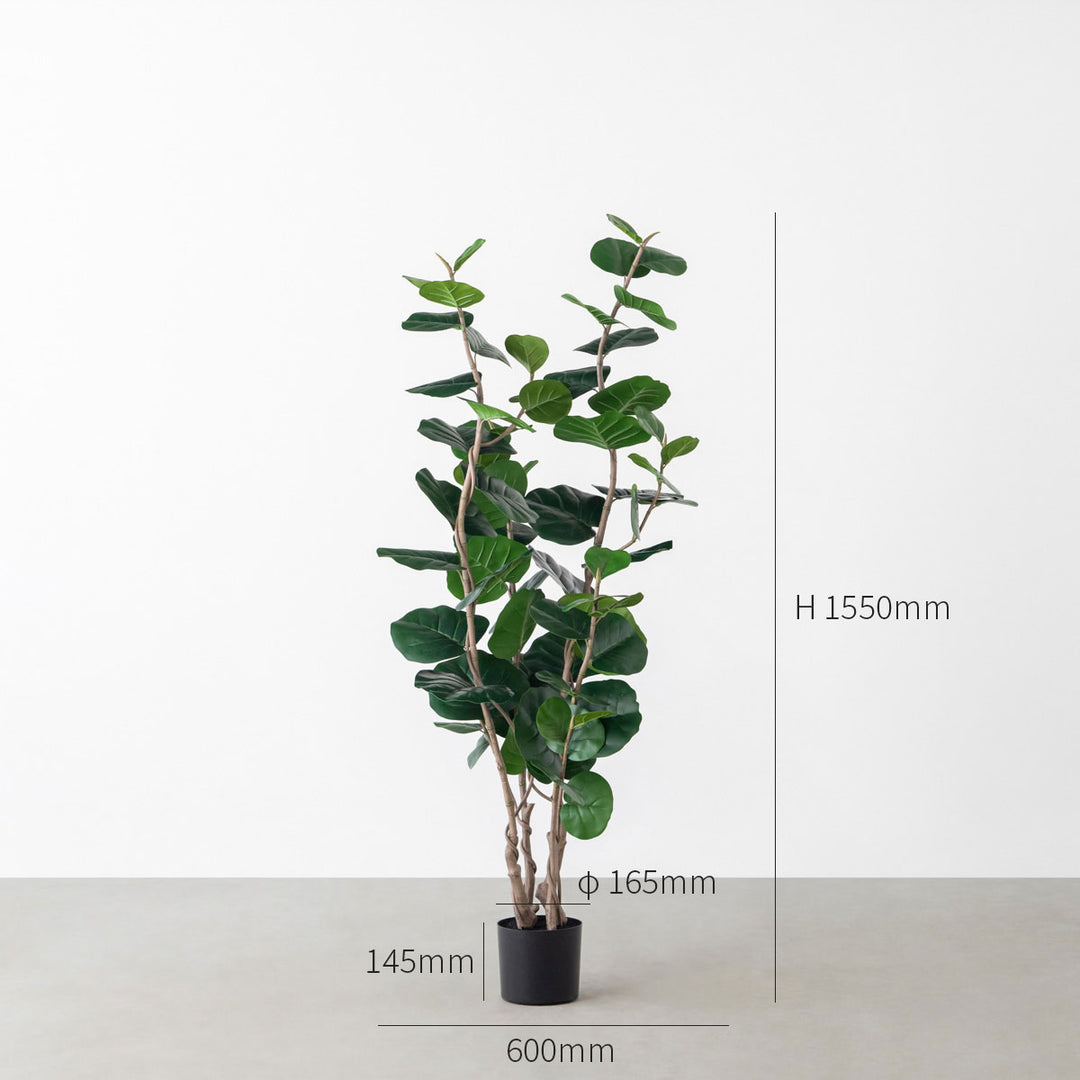 Artificial - Green フェイクグリーン シーグレープ – KANADEMONO