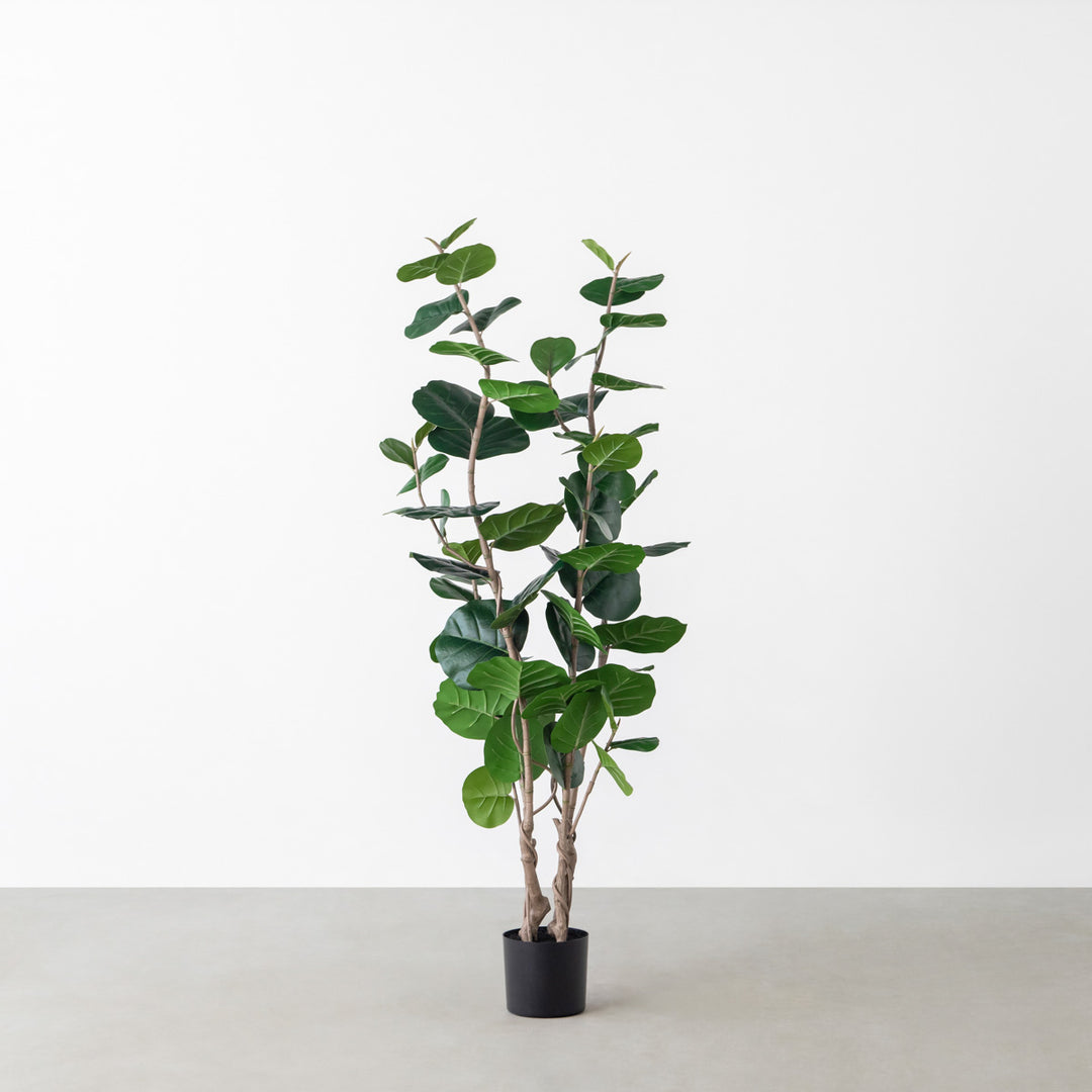 Artificial - Green フェイクグリーン シーグレープ – KANADEMONO