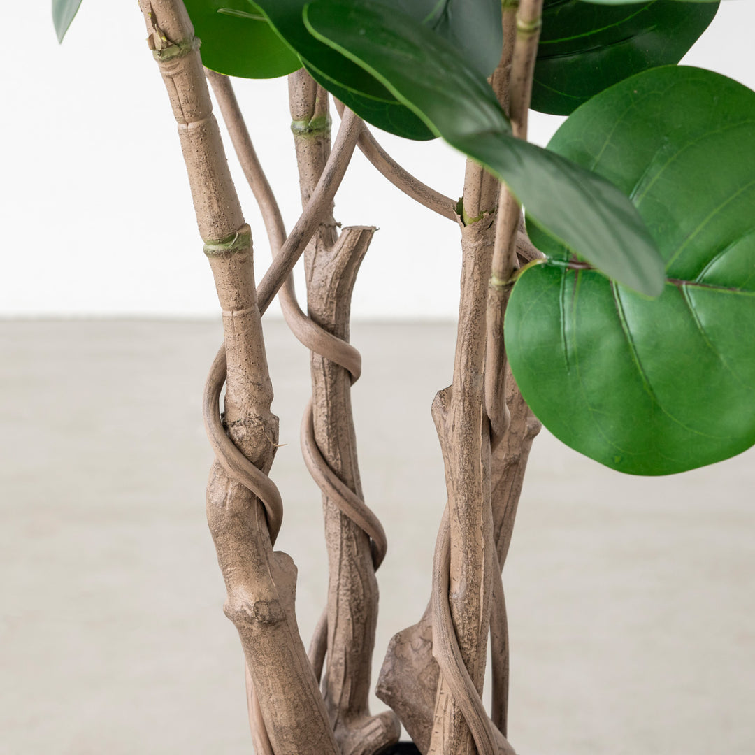 （greentomato）クレイユ　レリーフ greentomato様専用）クレイユ レリーフ