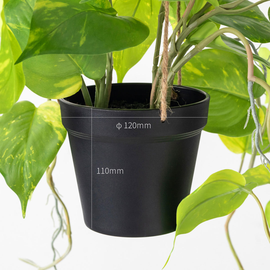 ポトス　AWドリーム　ハンギング ポトス AWドリーム ハンギング - メルカリ