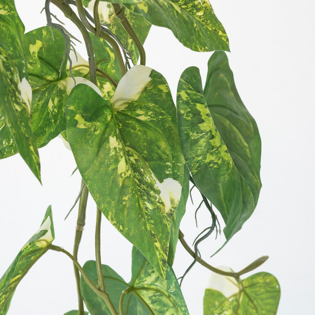 Artificial - Green フェイクグリーン ハンギング フィロデンドロン