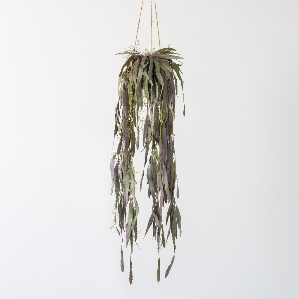 【専用】リプサリス✳︎さま Artificial - Green フェイクグリーン ハンギング リプサリス – KANADEMONO