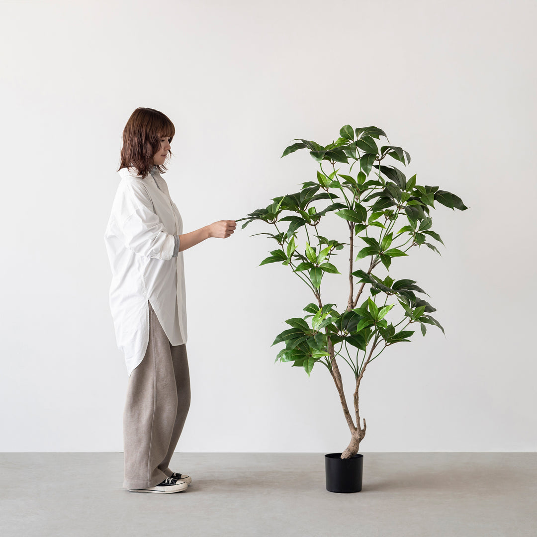 Artificial - Green フェイクグリーン ツピタンサス – KANADEMONO