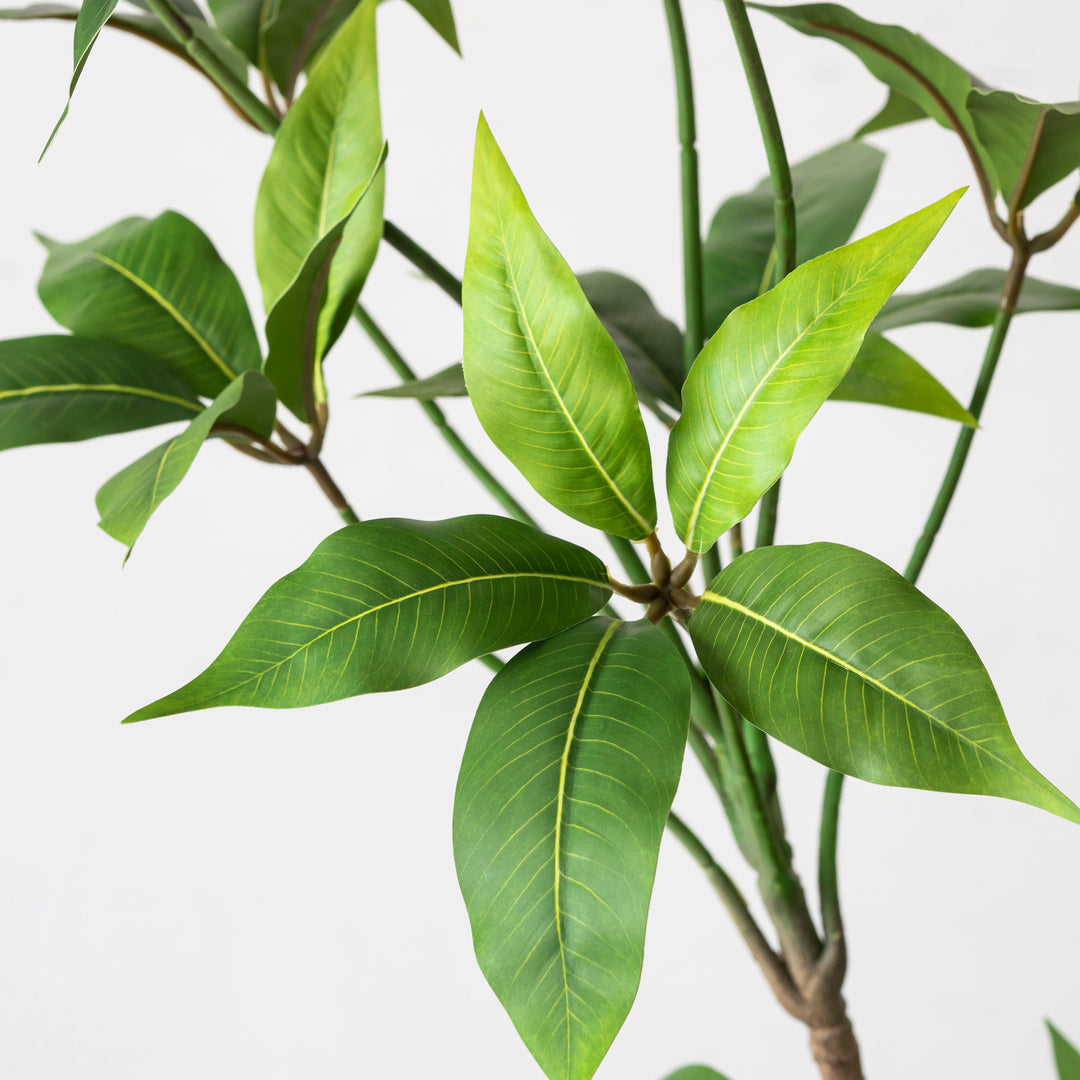 Artificial - Green フェイクグリーン ツピタンサス – KANADEMONO