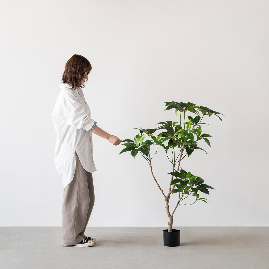 送料込○グラ&ツィエ2脚兄弟チェア　観葉植物置き等に 000000003046-27.jpg?size=xl&w=