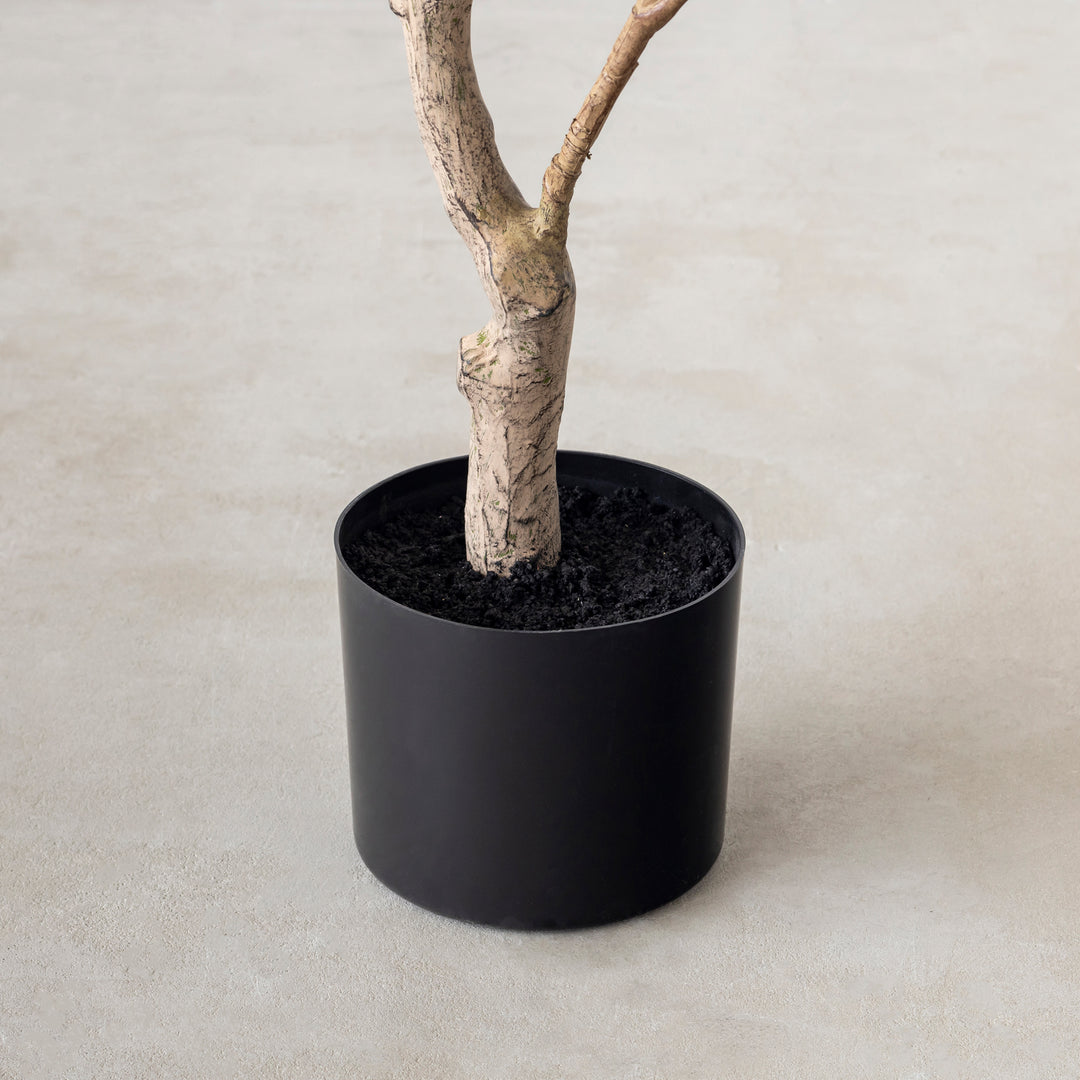 Artificial - Green フェイクグリーン ツピタンサス – KANADEMONO