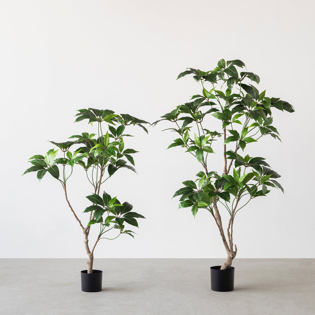 光触媒　人工観葉植物　ウォールグリーン　フェイクグリーン　ツピタンサス11 光触媒 人工観葉植物 ウォールグリーン フェイクグリーン ツピタンサス11