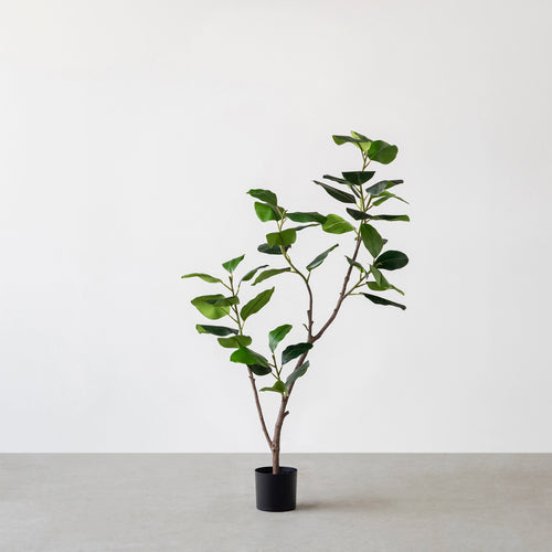 光触媒　人工観葉植物　ウォールグリーン　フェイクグリーン　フィカスベンガレンシス 直送】【人工観葉植物】YDM/フィカスベンガレンシス/GLP-1517-GR