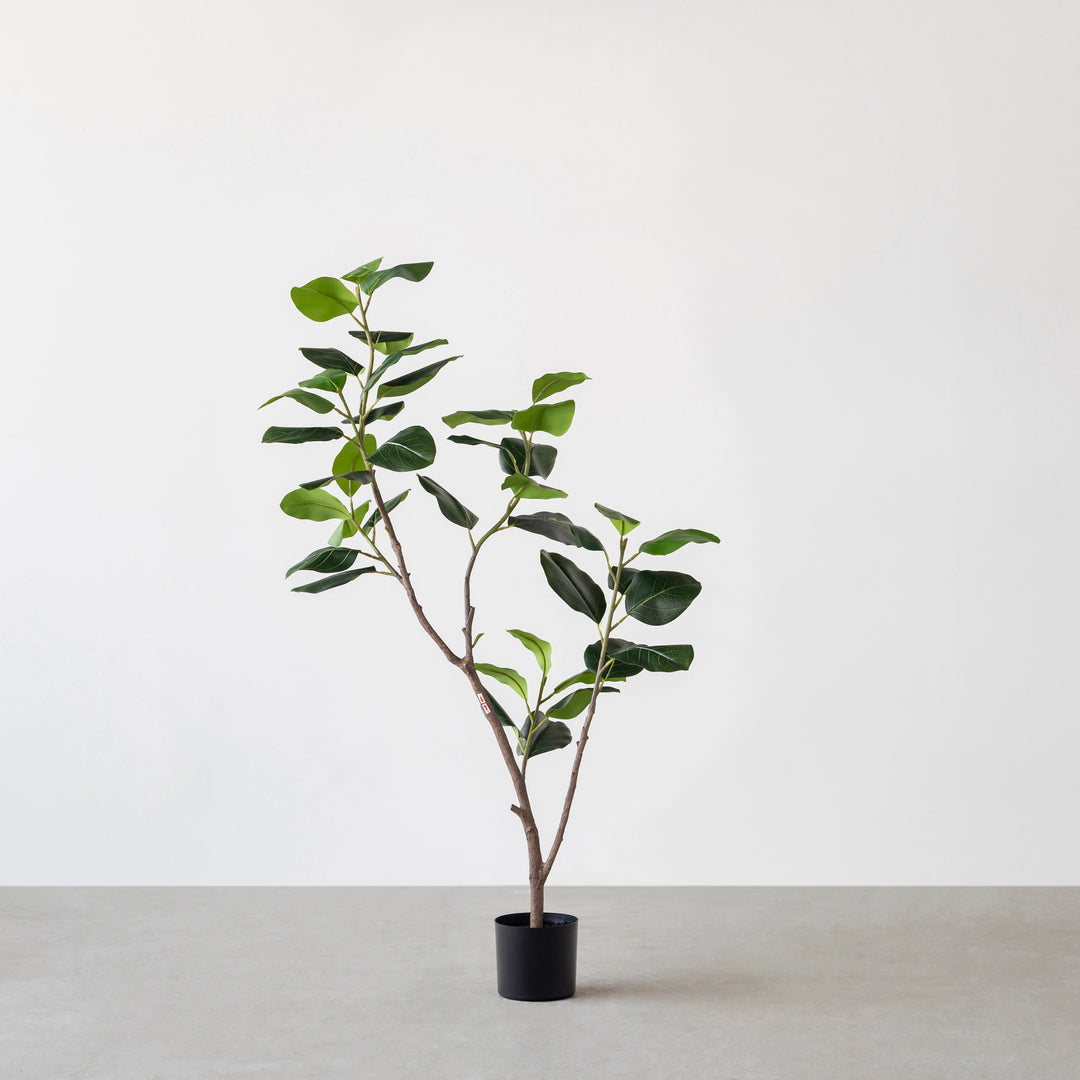 フィカス 太幹 1本立ち グリーン ベンガレンシス Artificial - Green フェイクグリーン ベンガレンシス – KANADEMONO