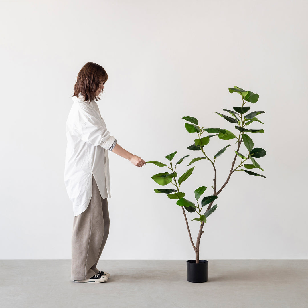 光触媒　人工観葉植物　ウォールグリーン　フェイクグリーン　フィカスベンガレンシス 直送】【人工観葉植物】YDM/フィカスベンガレンシス/GLP-1517-GR