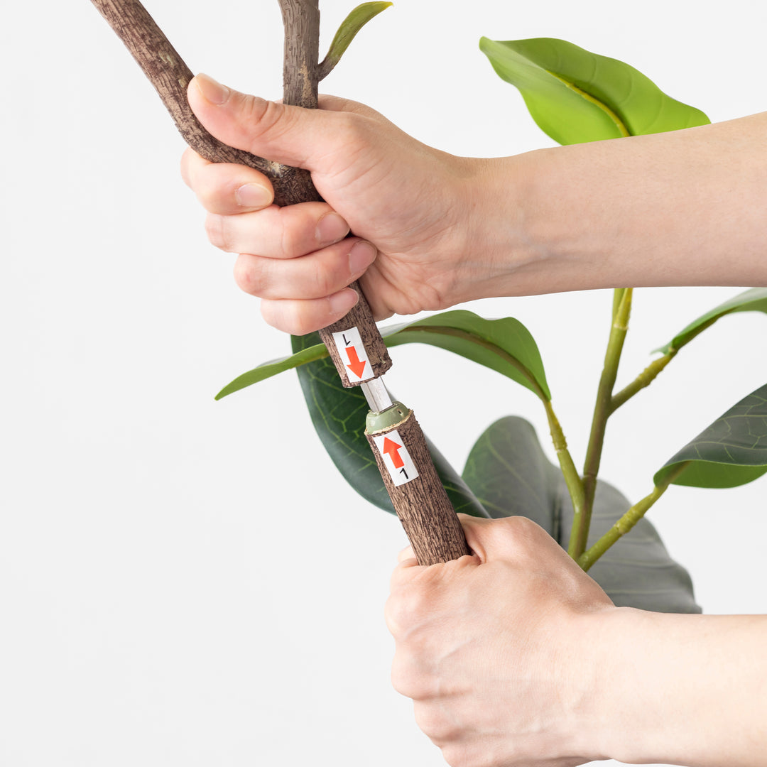 Artificial - Green フェイクグリーン ベンガレンシス – KANADEMONO