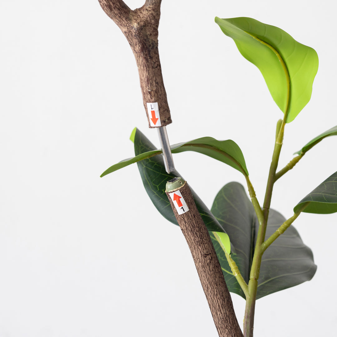 Artificial - Green フェイクグリーン ベンガレンシス – KANADEMONO