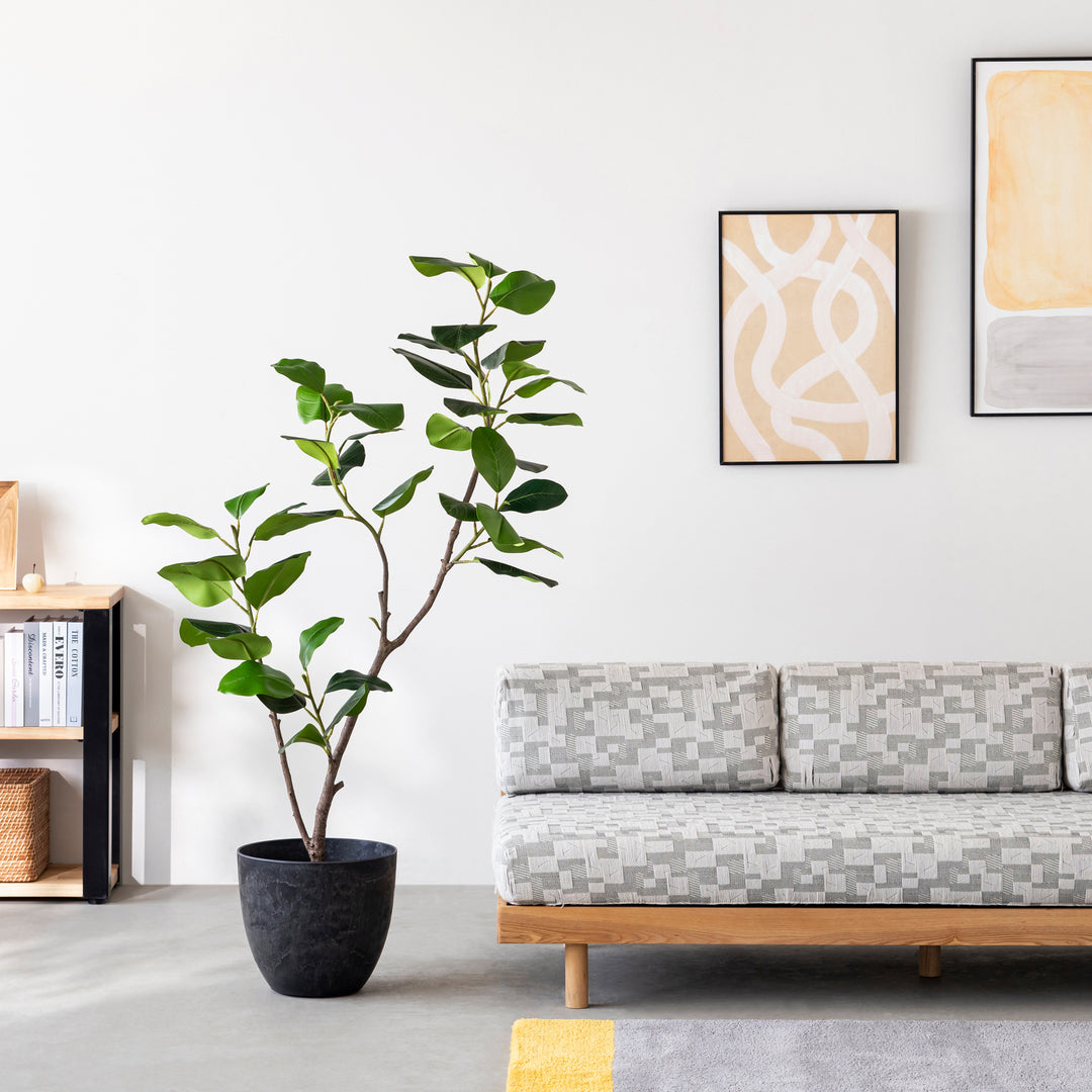 Artificial - Green フェイクグリーン ベンガレンシス – KANADEMONO