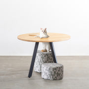 Kanademonoのラバーウッド材Naturalラウンド天板とブラックの4pinアイアン脚を組み合わせた、猫穴付きのカフェテーブル（猫使用時2）