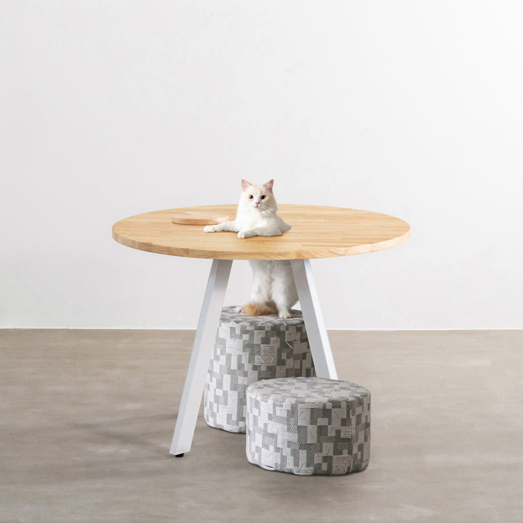 THE CAFE TABLE / ラバーウッド White Steel 4pin × ラウンド φ81