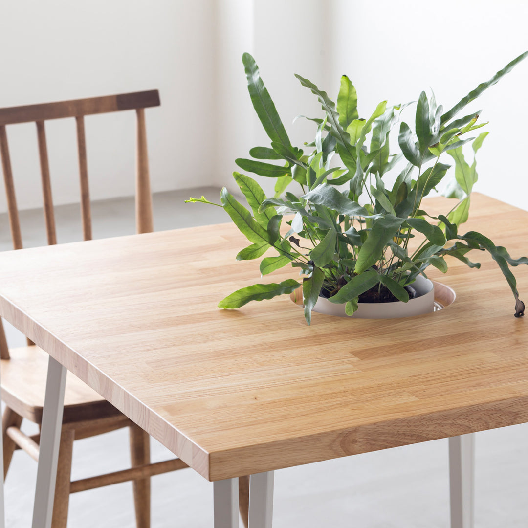 THE CAFE TABLE / ラバーウッド White Steel トライアングル Straight