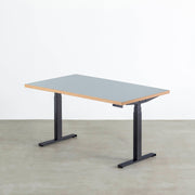 THE TABLE / リノリウム 全32色 × スマート電動昇降脚