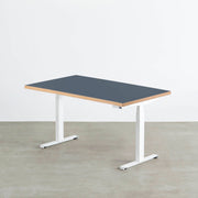 THE TABLE / リノリウム 全32色 × スマート電動昇降脚