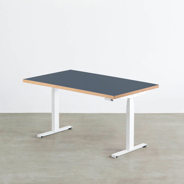THE TABLE / リノリウム 全32色 × スマート電動昇降脚