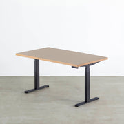 THE TABLE / リノリウム 全32色 × スマート電動昇降脚