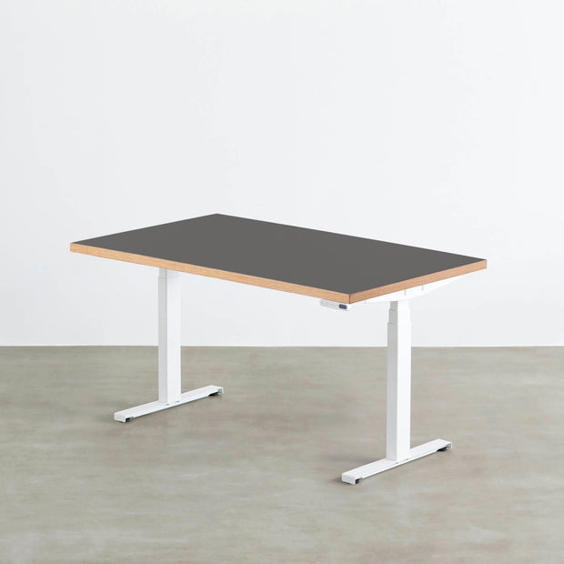 THE TABLE / リノリウム 全32色 × スマート電動昇降脚