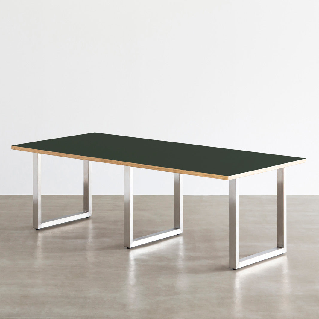 THE TABLE / リノリウム グリーン系 × Stainless × W181 - 300cm – KANADEMONO