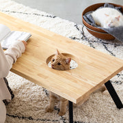 Kanademonoのラバーウッドナチュラル天板とブラックのチューブピンアイアン脚で製作した、猫穴付きのローテーブル（猫使用例）